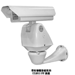 Pelco ES3012-5W 派尔高护罩云台一体机